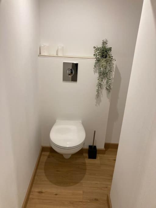 Appartement Chaleureux Proche Centre 클레르몽페랑 외부 사진